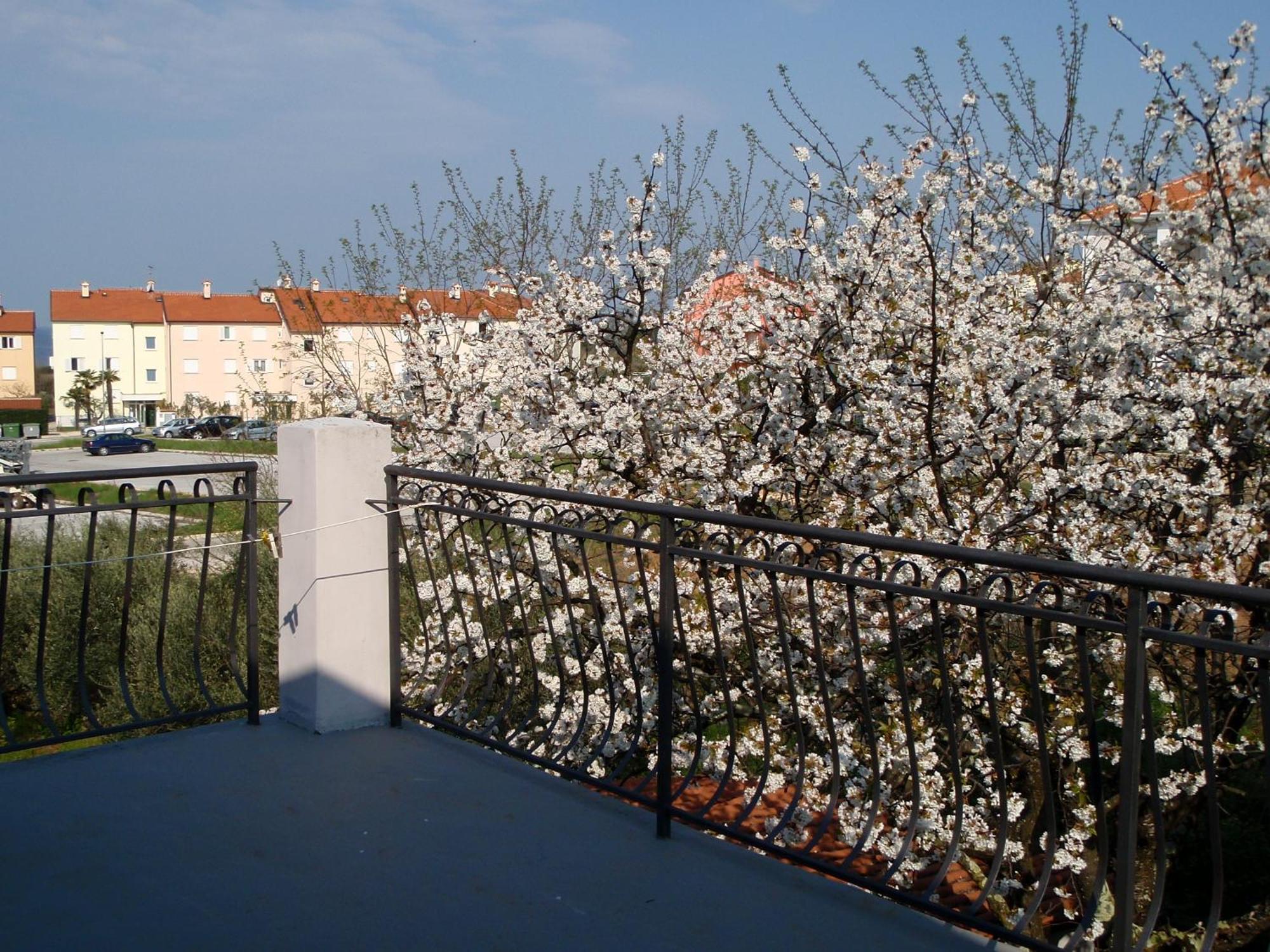 Apartments Miri Замбратия Екстериор снимка